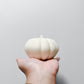 Harvest Pumpkin