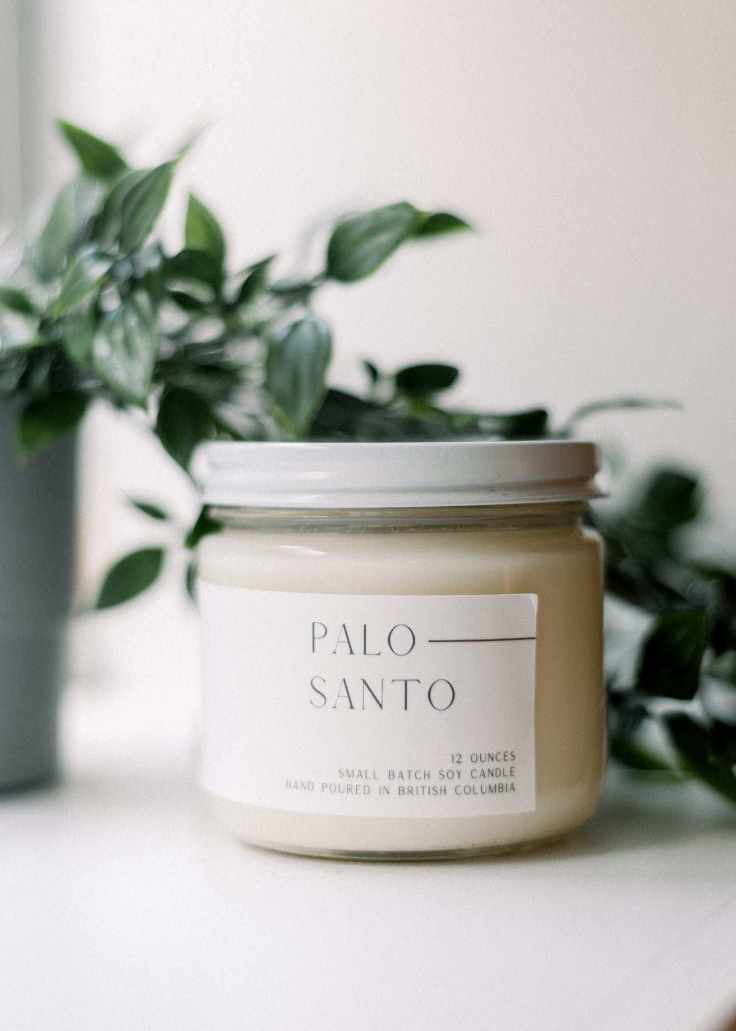 PALO SANTO